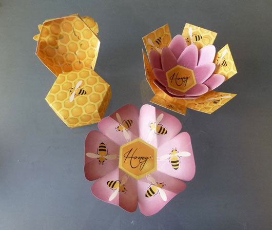 Hex Box open